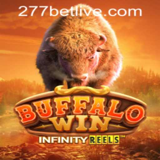 BuffaloWin: An Immersive Gaming Experience and the 277bet PH Login